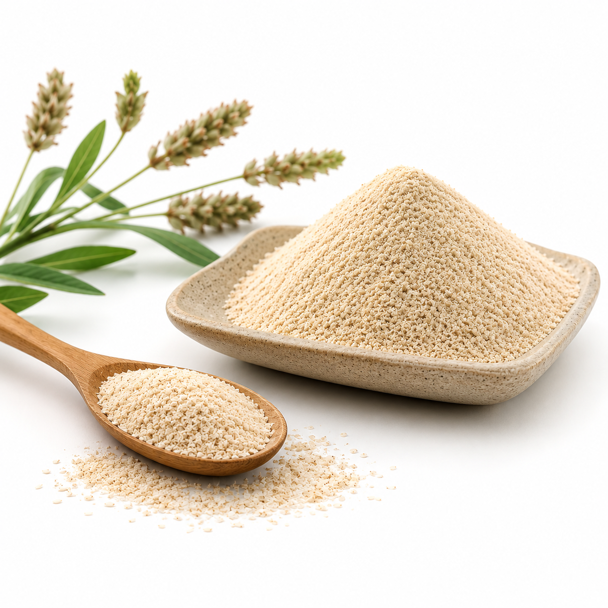 Psyllium Husk Powder